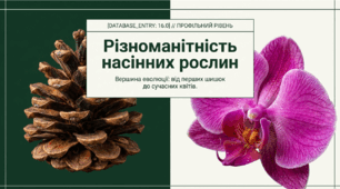 Презентація "Різноманітність насінних рослин" 10 клас (проф)