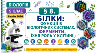 Білки: функції в біологічних системах. Презентація, інфографіка, робочий аркуш
