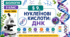 Нуклеїнові кислоти: ДНК. Презентація, інфографіка, робочий аркуш