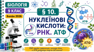Нуклеїнові кислоти: РНК. АТФ. Презентація, інфографіка, робочий аркуш