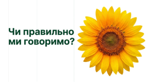 Презентація. Культура мовлення. НМТ