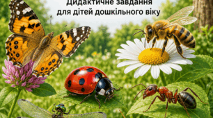 Завдання "Знайди тінь". Тема "Комахи" для дітей з порушенням зору.