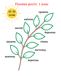 09028zc0-79f8-247x305.png