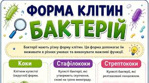Ілюстрація "Форма клітин бактерій" 