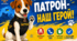 🔥🐶🐾Постери " Патрон - наш герой!"💛💙