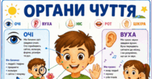 ОРГАНИ ЧУТТЯ. Тематичні плакати