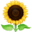 🌻
