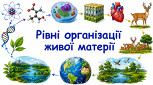 Рівні організації живої матерії. 9 клас НУШ.