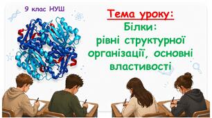 Презентація "Білки: рівні структурної організації, основні властивості" 9 клас НУШ