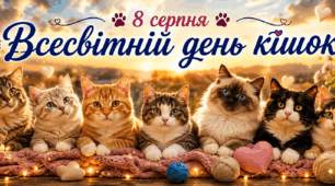 8 серпня🐱 Всесвітній день кішок🌍