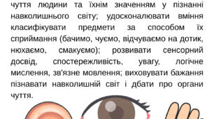 Дидактична гра «П'ять помічників» (нюх, слух, смак, дотик, зір)
