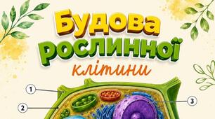 Ілюстрація "Будова рослинної клітини"