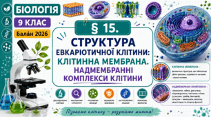 Структура еукаріотичної клітини: клітинна мембрана. Надмембранні комплекси клітини. Презентація, інфографіка, робочий аркуш