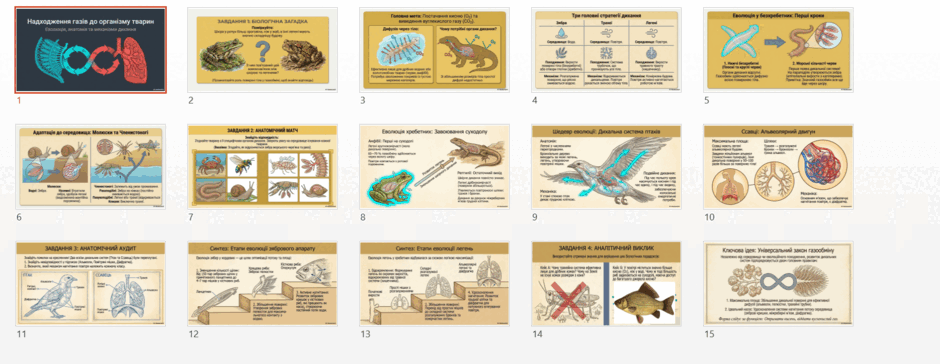 090296pj-dfaf-940x364.png