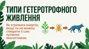 Презентація "Типи гетеротрофного живлення" 10 клас (проф)