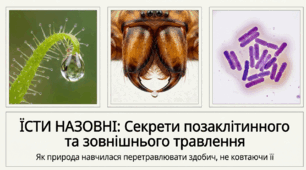 Презентація "Позаклітинне і зовнішнє травлення" 10 клас (проф)