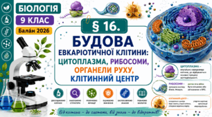 Будова еукаріотичної клітини: цитоплазма, рибосоми, органели руху, клітинний центр. Презентація, інфографіка, робочий аркуш
