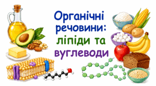 Органічні речовини: ліпіди та вуглеводи.