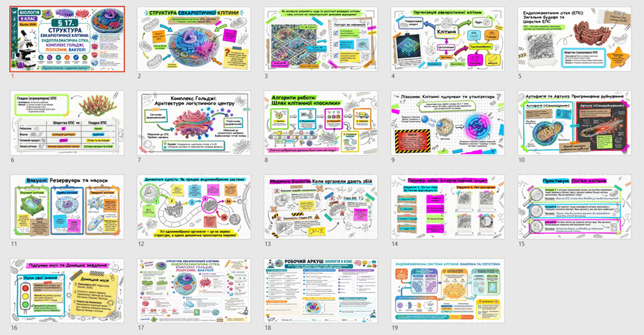 090297ts-940d-926x482.png