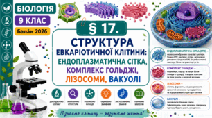 Структура еукаріотичної клітини: ендоплазматична сітка, комплекс Гольджі, лізосоми, вакуолі. Презентація, інфографіка, робочий аркуш