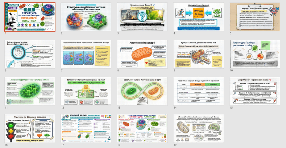 090297u0-5a0f-927x481.png