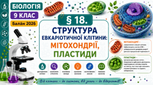 Структура еукаріотичної клітини: мітохондрії, пластиди. Презентація, інфографіка, робочий аркуш