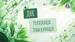 ДНК