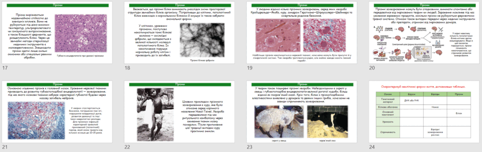 09029931-4dbd-940x298.png