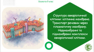 Презентація, конспект уроку та робочі аркуші на тему "Структура евкаріотичної клітини: клітинна мембрана. Транспорт речовин через плазматичну мембрану. Надмембранні та підмембранні комплекси евкаріотичної клітини". 9 клас НУШ