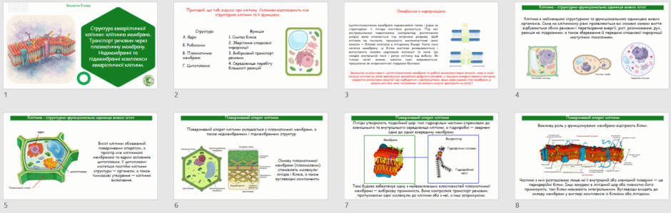 09029960-b87f-940x299.png