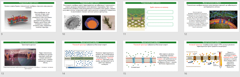 09029969-2aac-940x303.png