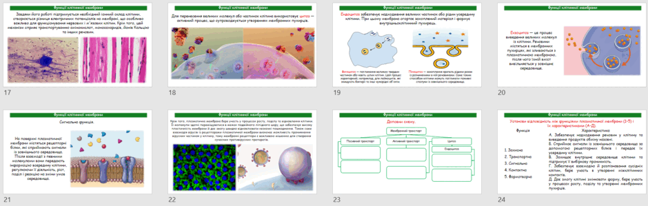 0902996b-65e0-940x299.png