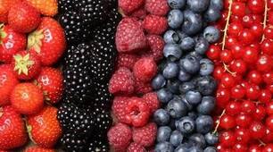 Die Beeren