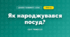 Як народжувався посуд? (4 клас, Дизайн і технології, Молочко)
