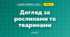 Догляд за рослинами та тваринами (4 клас, Дизайн і технології, Молочко)