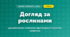 Догляд за рослинами (4 клас, Дизайн і технології, Воронцова)