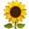 🌻