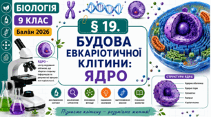 Будова еукаріотичної клітини: ядро. Презентація, інфографіка, робочий аркуш