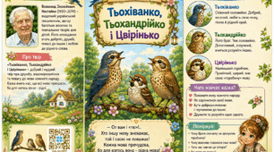 Літературна казка "Тьохіванко, Тьохандрійко і Цвірінько" Всеволод Нестайко (буклет, інфографіка)