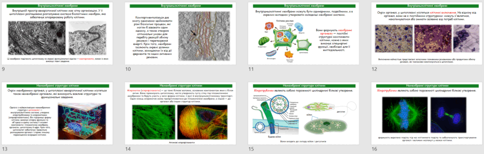 09029gp0-e29d-940x300.png