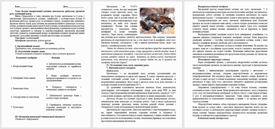 09029gp3-c4ef-940x440.png