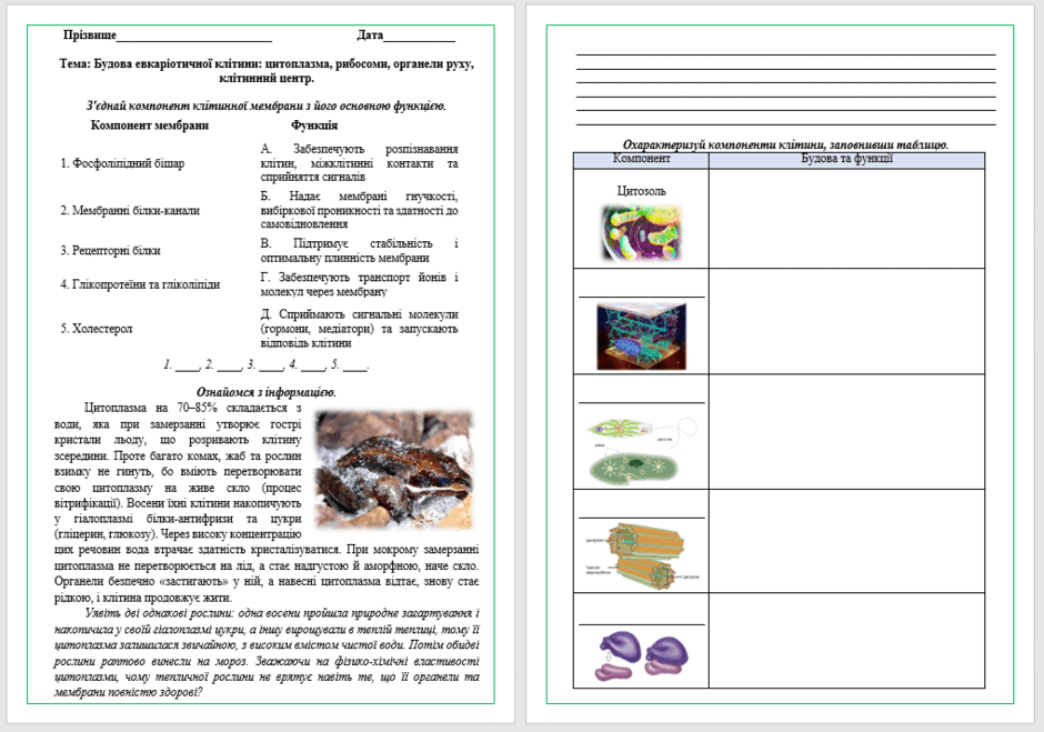 09029gp5-dba1-940x659.png