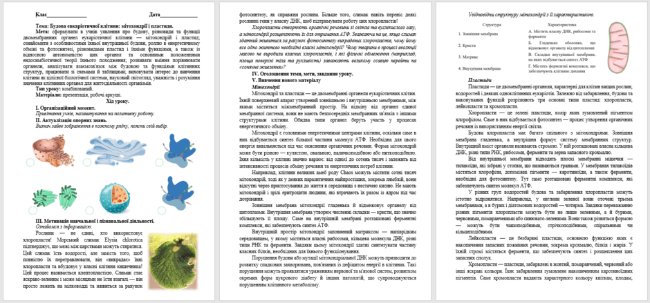 09029grp-bbaf-940x439.png