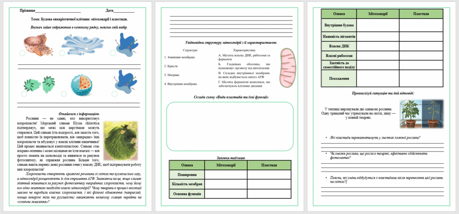 09029grs-808b-940x439.png