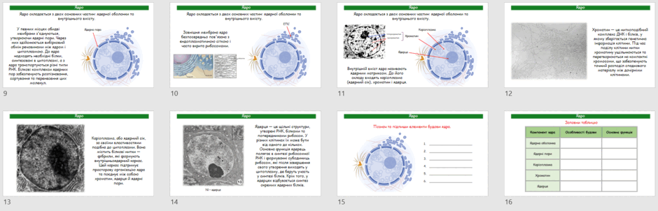 09029gs9-811a-940x302.png