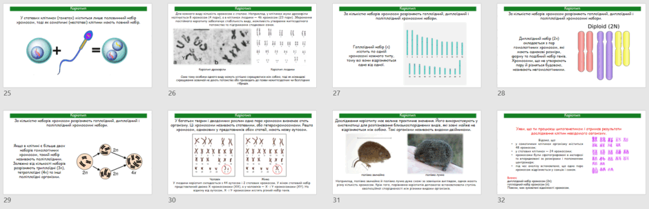 09029gsb-f311-940x303.png