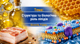 Презентація для 9 клас уроку біології "Структура та біологічна роль ліпідів" (за підр. Самойлова, Тагліної до параграфу 4)