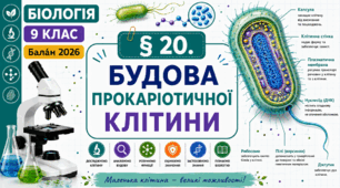 Будова прокаріотичної клітини. Презентація, інфографіка, робочий аркуш