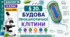 Будова прокаріотичної клітини. Презентація, інфографіка, робочий аркуш