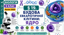 Будова еукаріотичної клітини: ядро. Презентація, інфографіка, робочий аркуш
